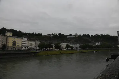 DSC_6096 (Large).JPG